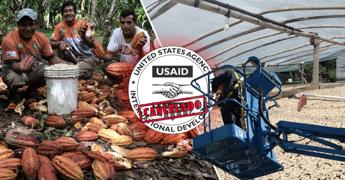 usaid cafe y cacao