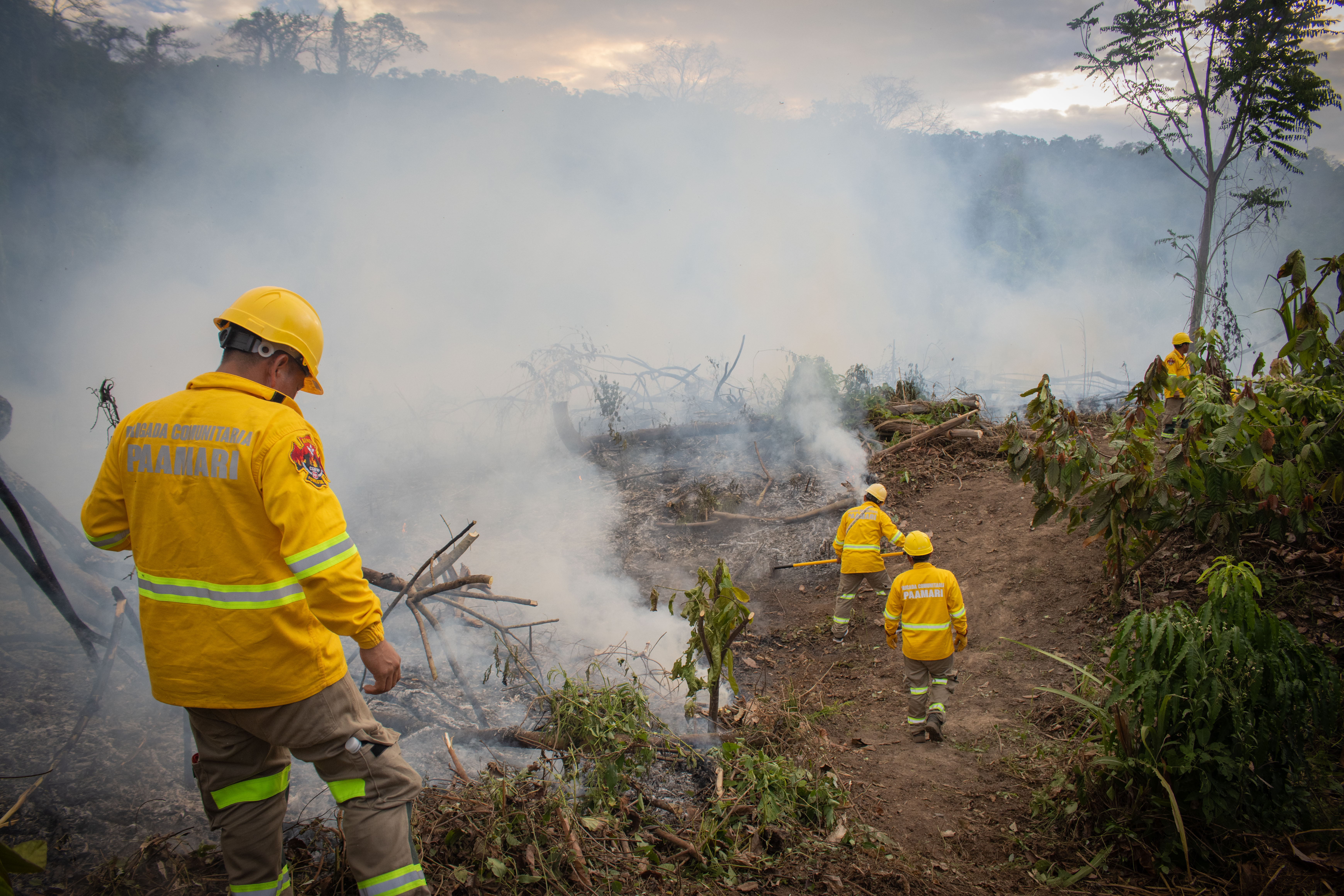Incendios forestales: 60% del presupuesto sin ejecutar y una propuesta asháninka de prevención desestimada por el Gobierno 