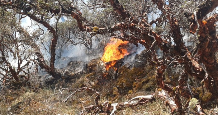 Incendio forestal 