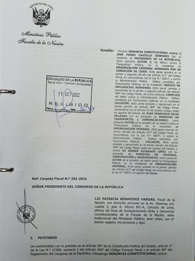 DENUNCIA CONSTITUCIONAL CASTILLO
