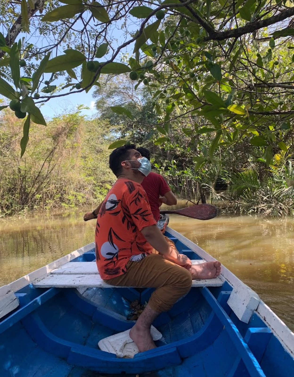 amazonia