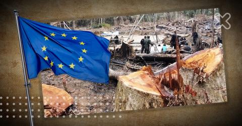 Retrocesos ambientales ponen en jaque el acuerdo con la UE